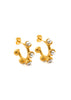 Golden Glamour Earrings