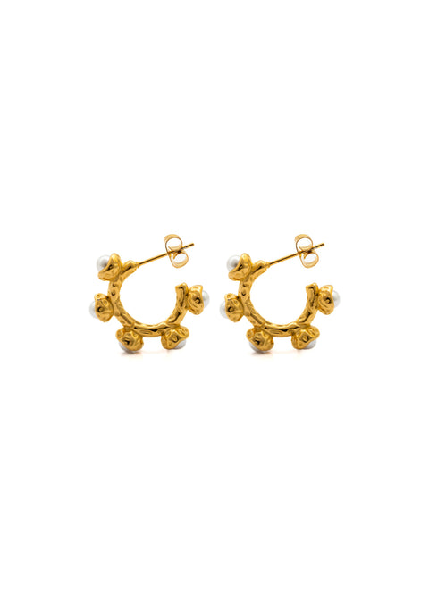 Golden Glamour Earrings